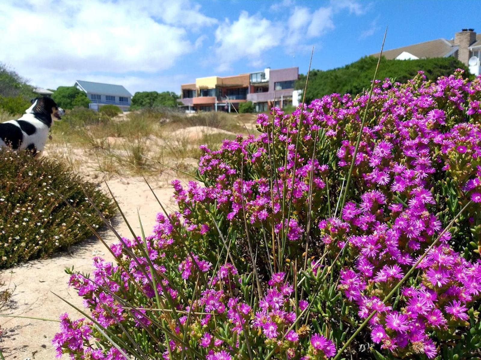 Absolute Beach Accommodation Stompneusbaai Exteriér fotografie